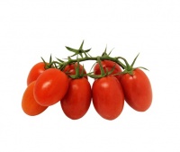 Piccadilly Tomato logo