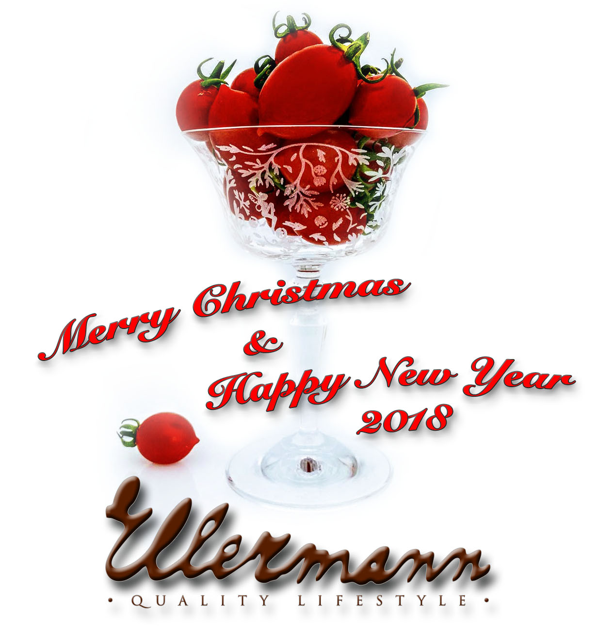 Merry Christmas & Happy New Year 2018 from Ellermann
