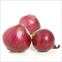 Red Onion Extra Quality logo