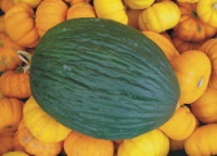 Green Melon logo
