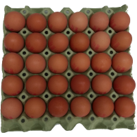 Italian Free Range Eggs