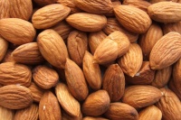 Almond logo