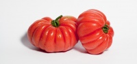 Heirloom Tomato logo