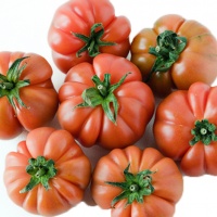 Marinda Tomato red or green-red