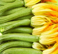 Green Zucchini Romanesco logo