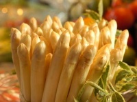 White Asparagus logo