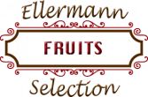 Fruits logo