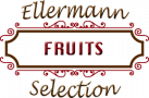 Fruits logo