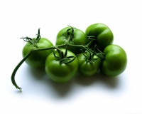 Green Tomato logo