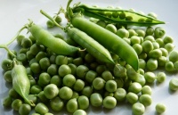 Fresh Green Peas logo