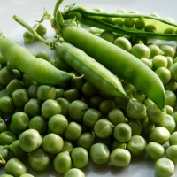 Fresh Green Peas