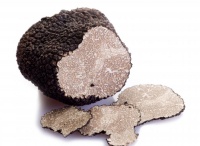 Summer Black Truffles logo