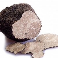 Summer Black Truffles