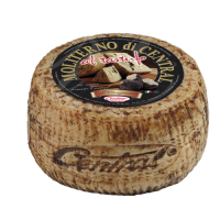 Pecorino Moliterno with Truffle logo