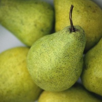 Williams Pears
