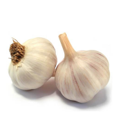 Garlic logo