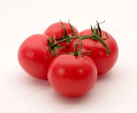 Salad Tomato logo