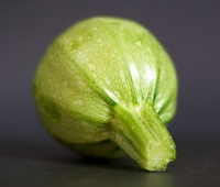 Round Zucchini logo