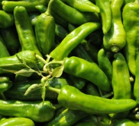 Sweet Green Small Pepper (Frigitelli) logo