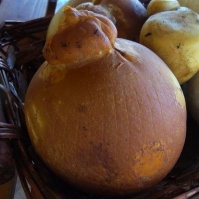 Caciocavallo di Bufala Affumicato logo