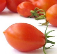 Vesuvio Neopolitan Tomato logo