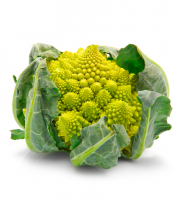 Roman Broccoli logo