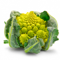 Roman Broccoli