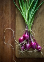 Tropea Fresh Baby Onions logo