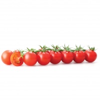Cherry Tomato Extra Quality