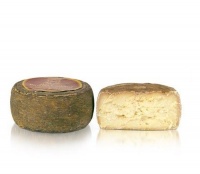 Pecorino Crotonese di Grotta logo