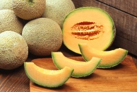 Cantaloupe Melon logo