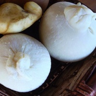 Caciocavallo di Bufala Bianco logo