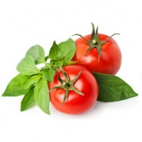 Vine Ripe Red Tomato logo