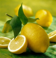 Amalfi Lemon logo