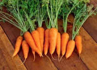 Tufted Carrots logo