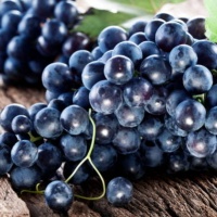 Red Grapes