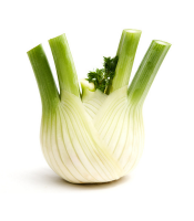 Fennel Bulb logo